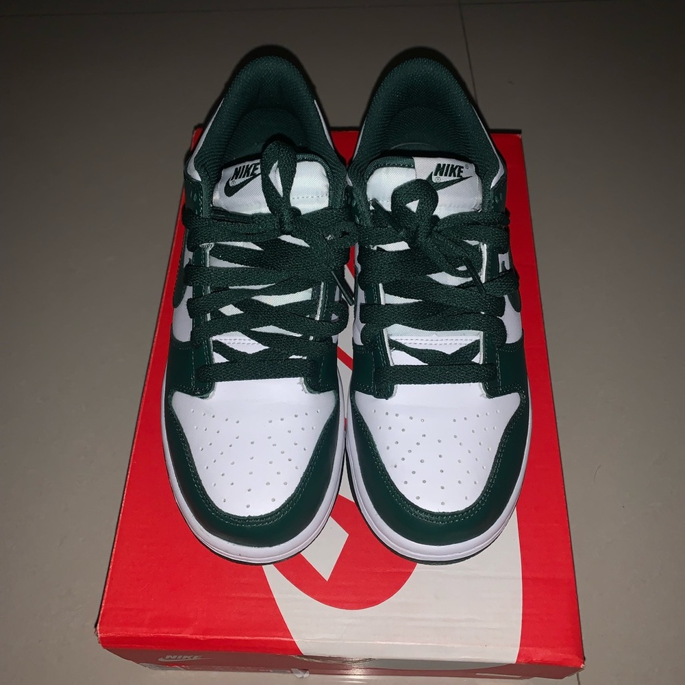 Nike Michigan state gs dunks